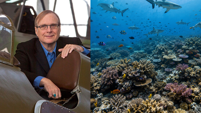 In 2015, Paul Allen launched a global shark survey across 58 countries; cameras later found sharks missing from nearly 20% of reefs | World News