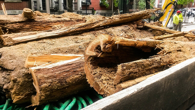 In 2017, excavation work uncovered 1812 wooden water mains beneath Philadelphia’s Spruce Street, revealing the city’s early water network | World News