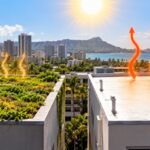 In 2018, a University of Hawaii study compared green and white roofs in Honolulu and found green roofs stayed cooler during the hottest hours | World News