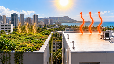In 2018, a University of Hawaii study compared green and white roofs in Honolulu and found green roofs stayed cooler during the hottest hours | World News
