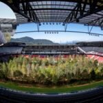 In 2019, artist Klaus Littmann filled an Austrian football stadium with 299 trees, turning it into a forest to show a future without forests | World News