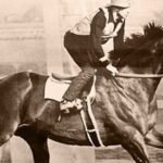 In the 1940s, Seabiscuit retired to a California ranch; decades later its redwoods, oak woodlands and wetlands became a conservation priority﻿ | World News