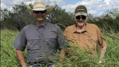 Two friends bought a 225-acre overgrazed Texas ranch that could support little beyond cattle; after restoring 100+ acres of prairie, planting 3,000 sand plums and adding a 5-acre wetland, wildlife returned