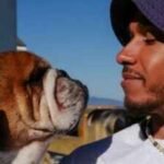 Kim Kardashian’s beau Lewis Hamilton posts a heartfelt note for pet dog Roscoe a year after his passing: ‘Being without my best friend has been hard…’ |