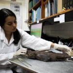 Meet Naidely Valeria Vidaurre-Quesada, the scientist who helped uncover a ghost shark species hiding in Costa Rica’s dark waters﻿ |