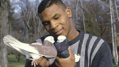 Mike Tyson started keeping pigeons as a bullied Brooklyn boy, finding love and comfort in them; decades later, he still has hundreds of birds across the US | World News