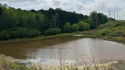 An Atlanta teacher spent years warning students away from a locked 26-acre forest outside their school; community organizing has now secured  million to begin turning the hidden city land into a public park