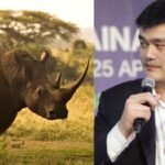 NBA star Yao Ming saw elephants and rhinos killed for ivory and horns; he later became a leading wildlife conservation campaigner in China | World News