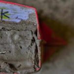 ‘The flood is on its way’: How 400 Nepal students escaped in time