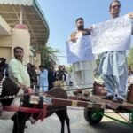 ‘Can’t afford petrol’: Pakistan PTI lawmakers ride donkey carts to assembly in protest