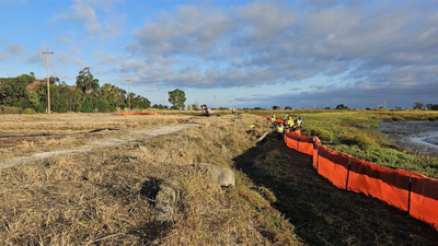 Palo Alto built San Francisco Bay’s first horizontal levee to reuse treated wastewater; the 500-foot living slope restores marsh habitat and tests defenses against sea-level rise