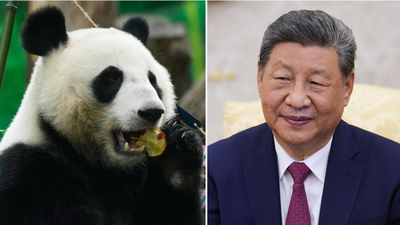 Panda diplomacy: Xi announces 2 giant pandas for Atlanta zoo in US