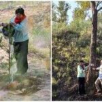 In 1999, Pennsylvania teacher Ronald Sakolsky donated ,000 to farmer Yin Yuzhen to fund her tree-planting efforts in Inner Mongolia; 27 years later, his contribution helped transform China’s Maowusu Desert into a forest of 50,000 trees