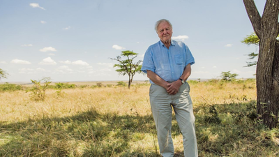 Quote of the day by David Attenborough: “The nature of human beings is that they’d far rather face the disaster that is happening tonight than…” |