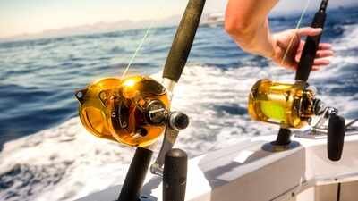 Southern California anglers are catching unusually large fish rarely seen this far north as Pacific waters warm