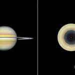 A former Australian miner spotted a ripple on Saturn from his backyard in 2024; two years later, he co-authored a world-first discovery of a 10-sided atmospheric wave
