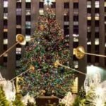 Since 2007, New York’s Rockefeller Center Christmas tree has been milled into lumber after the holidays; the wood has helped build Habitat homes from New York to Mississippi