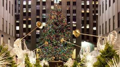 Since 2007, New York’s Rockefeller Center Christmas tree has been milled into lumber after the holidays; the wood has helped build Habitat homes from New York to Mississippi