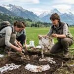 Scientists buried 2,000 pairs of cotton underwear across Switzerland; what they found revealed the health of the soil﻿ |