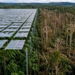Scientists covered an Amazon rainforest plot with 6,000 panels to block half its rain; large trees died and biomass fell by a third |