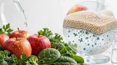 Scientists develop a starch-based wash that removes pesticide residues and keeps fruits and vegetables fresh for 15 days |