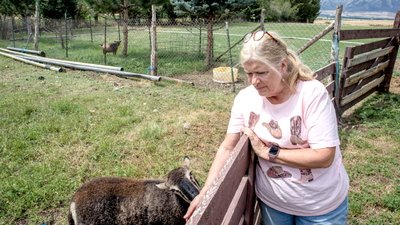 A Utah couple spent 14 years trying to stop their 25.5-acre farm from becoming another subdivision; the land is now permanently protected from development even as homes spread around it