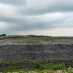 Singapore burns its garbage and dumps the ash into the sea; how a 350-hectare island became a wildlife haven
