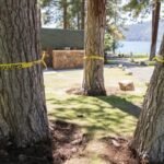 Someone has been secretly poisoning Lake Tahoe trees since 2022 as 28 are already targeted; now community offers 7,000 to catch culprit | World News