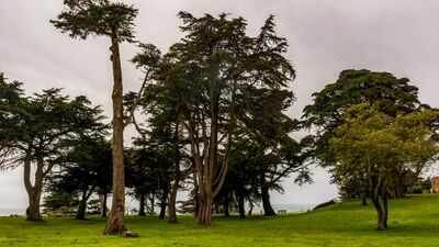 In the 1880s, Adolph Sutro built a 22-acre San Francisco estate filled with hundreds of statues and opened its gardens to the public; the mansion was later demolished and the land became a park