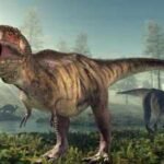 66.5 million years ago, a T. rex crossed North America; fossil footprints now show the giant dinosaur walked, not ran