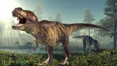 66.5 million years ago, a T. rex crossed North America; fossil footprints now show the giant dinosaur walked, not ran