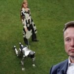 Elon Musk’s estranged daughter takes aim at father and AI in a new fashion campaign: “He was designed to obey. Not me.”