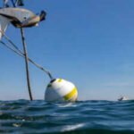 At England’s Studland Bay, replacing damaging boat anchors with eco-moorings cut scars in seagrass by 94%; researchers say the recovering meadow is also supporting a growing population of seahorses