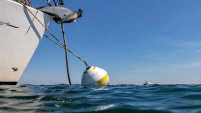 At England’s Studland Bay, replacing damaging boat anchors with eco-moorings cut scars in seagrass by 94%; researchers say the recovering meadow is also supporting a growing population of seahorses