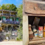 In 1928, a California garbage collector began building a one-room shack from trash; over 50 years, beer cans, car parts, driftwood and shells became an multi-level hillside home