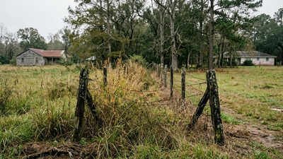 Louisiana neighbours fought over a 70-foot strip of land; after signs, bright lights and even a dead cow appeared near the boundary, an appeals court upheld ,000 in damages and an injunction