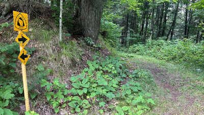 A Wisconsin family will keep owning and logging nearly 1,800 forest acres while a $1.6 million deal permanently blocks development and opens almost 1,500 acres to hikers, hunters and anglers