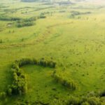 A Wisconsin family tried for years to drain nearly 2,000 floodplain acres for farming; after the effort struggled and a tax fight followed, the land is now permanently protected along 2+ miles of the Sugar River