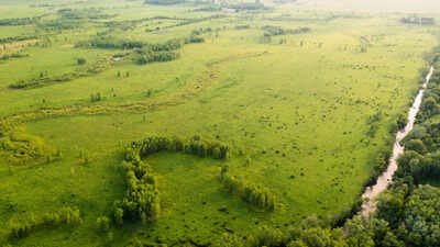 A Wisconsin family tried for years to drain nearly 2,000 floodplain acres for farming; after the effort struggled and a tax fight followed, the land is now permanently protected along 2+ miles of the Sugar River