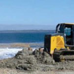 North Carolina reused dredged material that would have been discarded offshore to rebuild an eroding bird island near Wanchese; within a week, oystercatchers and terns were exploring the new habitat