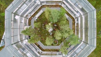 Scientists built 10 giant chambers around a Minnesota peat bog and warmed it by up to 9°C; within 3 years, every warmed plot switched from storing carbon to releasing it