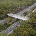 In 1974, an Australian ranger proposed turning a service bridge into a wildlife corridor; 52 years later, it opened over a motorway carrying 40,000 vehicles a day, reconnecting two national parks