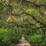 The US wants to swap federal land on Georgia’s Cumberland Island for privately owned parcels; any parkland leaving federal ownership would be permanently barred from subdivision and major development