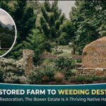In 2014, an Australian family began restoring their 120-acre farm; 12 years later, Bower Estate is a thriving native habitat that hosts weddings