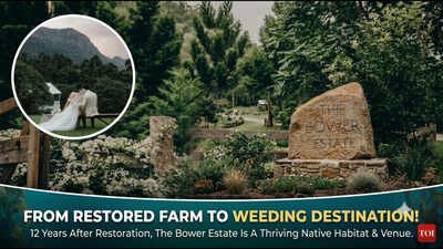 In 2014, an Australian family began restoring their 120-acre farm; 12 years later, Bower Estate is a thriving native habitat that hosts weddings