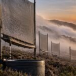 This Chilean community catches fog in giant nets and turns coastal mist into water; the unusual idea now harvests up to 650,000 litres a year in a drought-hit region | World News