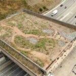 Joshua Tree wildlife crossings planned in California’s Mojave Desert to curb wildlife-vehicle collisions; two State Route 62 structures to protect bighorn sheep, mountain lions and bobcats with  million-plus funding