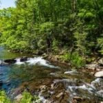 A West Virginia family with roots around Audra stretching back 175 years donated 47 acres to the state park; one gift increases the entire park by about 13%