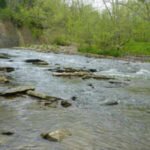 A Kentucky woman spent 35 years turning 45 acres into a nature preserve; now a nearly  million sewer project has secured seven easements across her land through eminent domain, triggering fresh county scrutiny