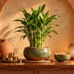 Want to Attract More Money? Feng Shui Says Start With This One Corner of Your Home